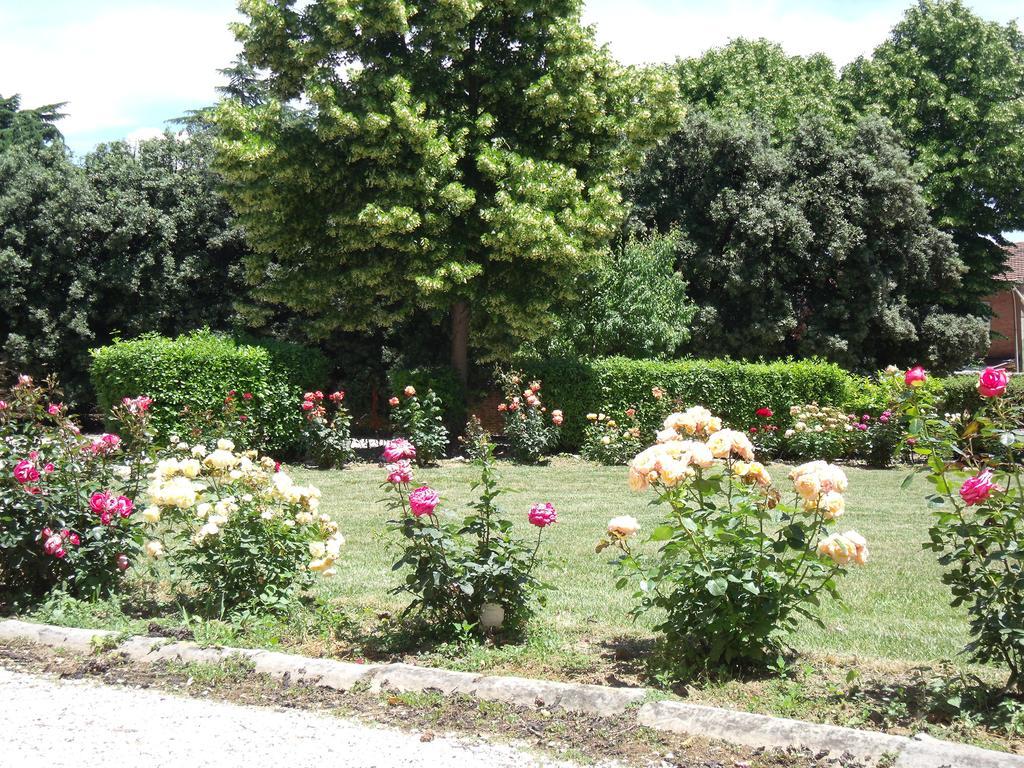 Tenuta Villa Rocchi トッリータ・ディ・シエーナ エクステリア 写真