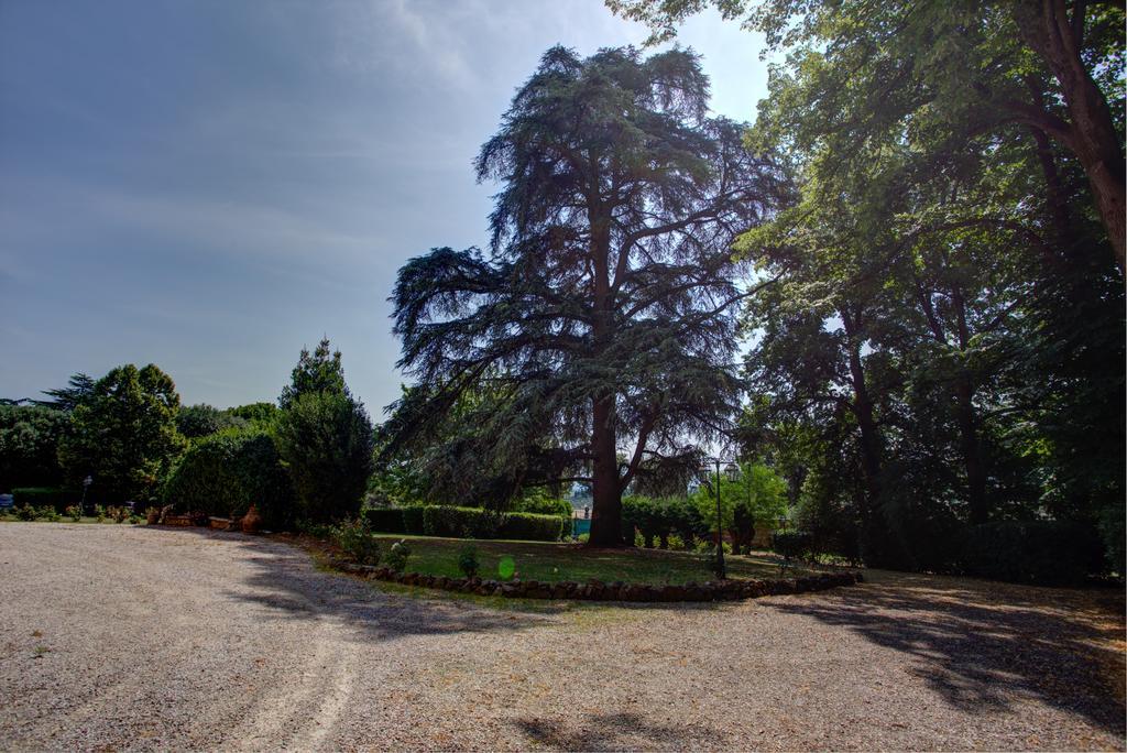 Tenuta Villa Rocchi トッリータ・ディ・シエーナ エクステリア 写真